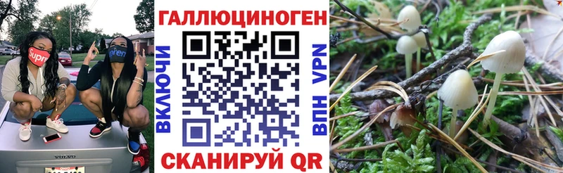Галлюциногенные грибы прущие грибы  Саянск 
