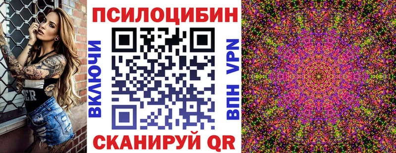 Псилоцибиновые грибы Cubensis Саянск